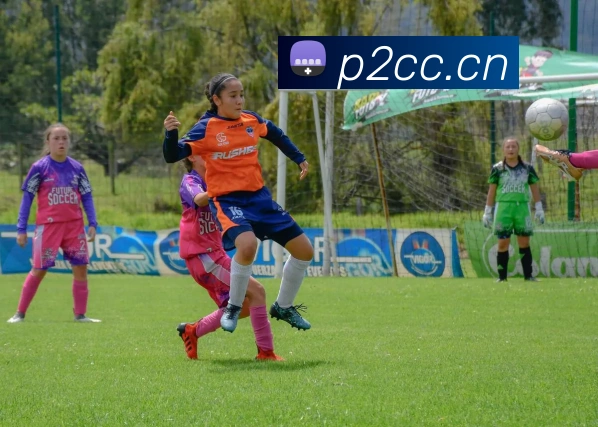 开云kaiyun官方在线登录发展历程